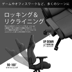 Andaseat ゲーミングチェア Kaiser Frontier M エレガントブラック KAISER FRONTIER M/EB-イメージ12