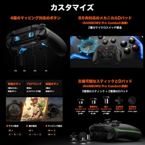 BIGBIGWON シースルーデザイン ワイヤレス&有線ゲーミングコントローラー 【Switch & Windows10/11対応】 ジャイロ搭載 ブラック RAINBOW2PRO-イメージ5
