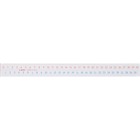 ライオン事務器 ピックアップ定規 30cm L-10 F609397-270-68