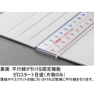 ライオン事務器 ピックアップ定規 30cm L-10 F609397-270-68-イメージ3