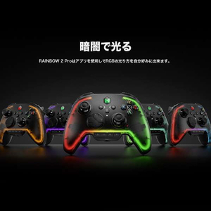 BIGBIGWON RAINBOW2 Pro COMBO シースルーデザイン ワイヤレス&有線ゲーミングコントローラー 【Switch & Windows10/11対応】 ジャイロ搭載 マグネット式充電台付属モデル ブラック RAINBOW2PROCOMBO-イメージ9