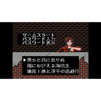 サンソフト・CLE HACPBS9ZA シティーハンター 通常版【Switch