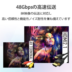 エレコム イーサネット対応ウルトラハイスピードHDMIケーブルスリム(2．0m) ブラック DHHD21ES20BK-イメージ4