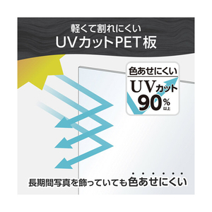 ハクバ 木製額縁 A4/B5サイズ PIXRIA+(ピクスリア プラス) ブラック FWPXP-BKA4-イメージ6