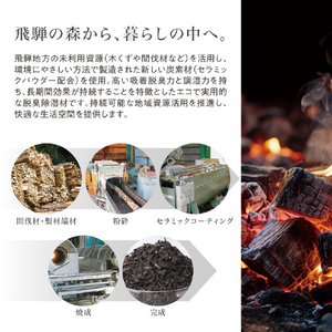 藤栄 飛騨炭 シューズ用脱臭除湿シート3足用 ﾋﾀﾞｽﾐｼﾕ-ｽﾞﾖｳ-イメージ5