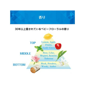 ＮＳファーファジャパン NSファーファJ/ファーファ 3倍濃縮超コンパクト粉末洗剤 500g FC393TC-イメージ5
