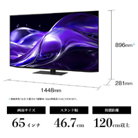 シャープ 4T-C65HQ2 65V型4Kチューナー内蔵4K対応有機ELテレビ AQUOS