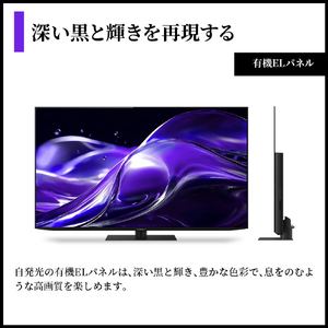 シャープ 65V型4Kチューナー内蔵4K対応有機ELテレビ AQUOS OLED 4T-C65HQ2-イメージ3