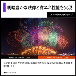 シャープ 65V型4Kチューナー内蔵4K対応有機ELテレビ AQUOS OLED 4T-C65HQ2-イメージ4