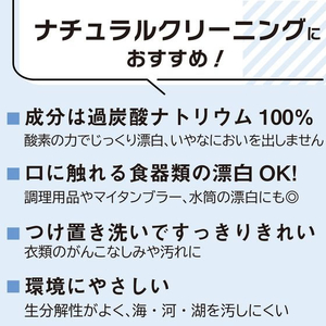 太陽油脂 パックス 酸素系漂白剤 詰替 500g FCD171G-イメージ2