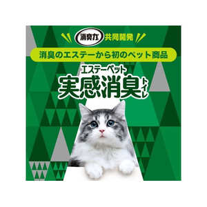 エステー エステーペット 実感消臭チップ 猫用システムトイレ 4L FCF728N-イメージ3