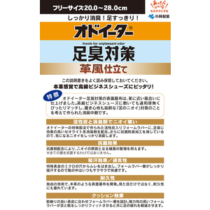 小林製薬 オドイーター 足臭対策 革風仕立て FC12225-イメージ2