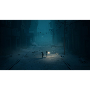 THQ Nordic Japan REANIMAL(リアニマル)【Switch 2】 POTPAAH5B-イメージ5