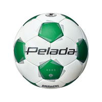 モルテン ペレーダ4000 5号 白緑 FCE610S-F5K4000WG