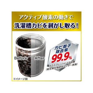 ジョンソン ガッツリ剥がす 洗たく槽カビキラー 250g FC639TH-イメージ3