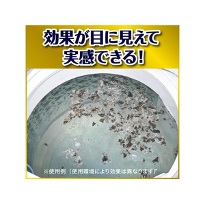 ジョンソン ガッツリ剥がす 洗たく槽カビキラー 250g FC639TH-イメージ4