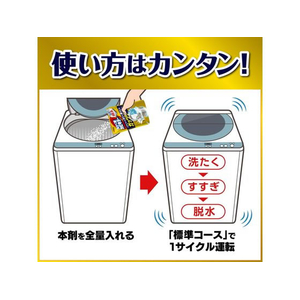 ジョンソン ガッツリ剥がす 洗たく槽カビキラー 250g FC639TH-イメージ6