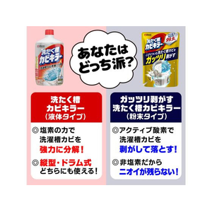 ジョンソン ガッツリ剥がす 洗たく槽カビキラー 250g FC639TH-イメージ8