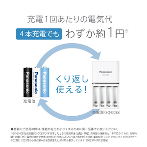 パナソニック 単4形ニッケル水素電池 2本パック(ハイエンドモデル) エネループプロ BK-4HCD/2H-イメージ5