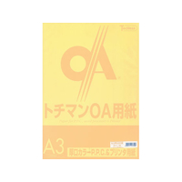 SAKAEテクニカルペーパー 厚口カラーPPC A3 スキン 50枚×10冊 FC88272-LPR-A3-SW