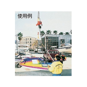 象印チェンブロック 象印/単相100V小型電気チェーンブロック 1速型 250kg・3m 0.2531031525単相100V FC331HC-2422549-イメージ4
