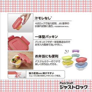 エビス パックスタッフ ジャストロック 長方形M 4個入 FCD365G-PL-3201-イメージ4