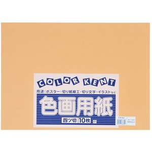 大王製紙 再生色画用紙 4ツ切 10枚 うすちゃ FC257YN-イメージ1
