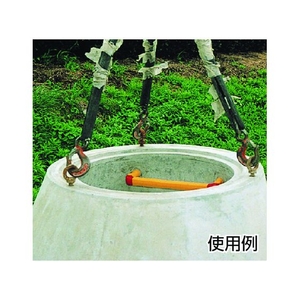 タケネ アイボルト(鉄製) (1個=1袋) FC879GD-2121221-イメージ2