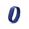 Fitbit Google Fitbit Air 限定モデル Pokemon Sleep Sleepy Blue GA13096-JP