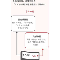 BELTA BELTA-4573206310458 きざみ本薬湯(10包) |エディオン公式通販