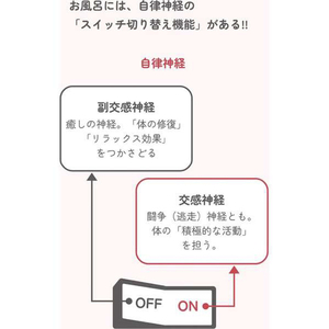 BELTA きざみ本薬湯(10包) BELTA-4573206310458-イメージ5