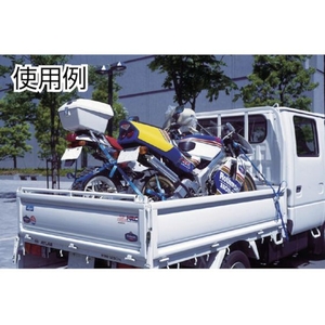 テザック TESAC/ラッシングベルト(ベルト荷締機)カムバックル式アイタイプ FC879GF-7928556-イメージ3