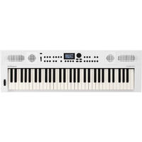 ローランド GOKEYS5-WH 電子キーボード GO:KEYS 5 ホワイト ローランド GOKEYS5-WH 電子キーボード GO:KEYS 5 ホワイト