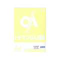 SAKAEテクニカルペーパー 厚口カラーPPC A4 ホワイト 100枚×5冊 FC88275-LPR-A4-W