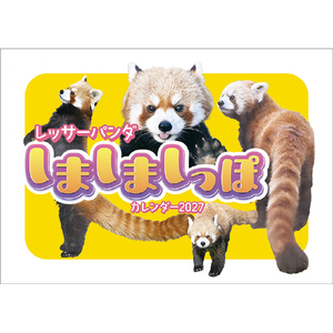 トライエックス カレンダー 2027年度版レッサーパンダのしましましっぽカレンダー 2027CL386ﾚﾂｻ-ﾊﾟﾝﾀﾞﾉｼﾏｼﾏｼﾂ-イメージ1