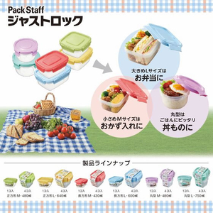 エビス パックスタッフ ジャストロック 長方形L 4個入 FCD366G-PL-3211-イメージ5