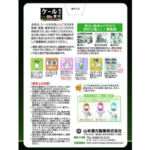 山本漢方製薬 山本漢方/ケール粉末100% 170g FC34692-イメージ2
