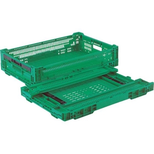 岐阜プラスチック工業 リス/RSコンテナーRS-MM24S(薄型折りたたみコンテナーワンタッチ) 緑 FC236GW-8362405-イメージ1