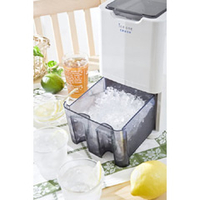 池永鉄工 C-01 電動式氷砕機 アイスワン・クラッシュ Swan |エディオン