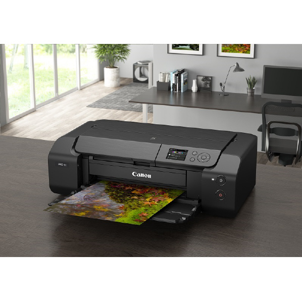 キヤノン インクジェットプリンター PIXUS PRO-S1 キヤノン写真用紙 光沢 Windows Speed Hi 1枚の印刷時間 プロ プラチナグレード mm Wi Fiと有線LANは同時使用不可 カラー A3ノビフチあり写真 BCI 66BK/BCI 66C/BCI 66M/BCI 66Y/BCI 66GY/BCI 66PC/BCI 66PM/BCI 66LGY