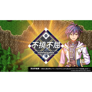 コトブキソリューション ケムコRPGセレクション Vol．11【PS4】 PLJM17297-イメージ5
