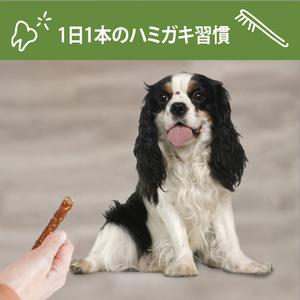 ウェルペット・ジャパン ウィムズィーズ ベジーソーセージ S(小型犬向け・体重7‐12kg)7個入り ｳｲﾑｽﾞｲ-ｽﾞﾍﾞｼﾞ-ｿ-ｾ-ｼﾞS7ｺｲﾘ-イメージ7