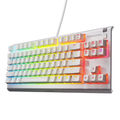 SteelSeries ゲーミングキーボード Apex 3 TKL White US 64819