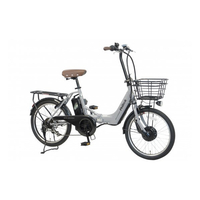 PELTECH 20型電動アシスト自転車フル装備外装6段 グレイ TDN-212L-GRY-12AH