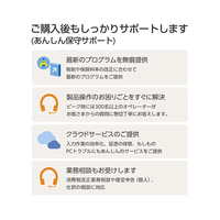 弥生 WEBﾔﾖｲｶｲｹｲ26ｽﾀWDL 弥生会計 26 スタンダード 通常版 |エディオン