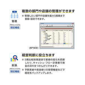 弥生 弥生会計 26 プロフェッショナル 通常版 WEBﾔﾖｲｶｲｹｲ26ﾌﾟﾛWDL-イメージ6