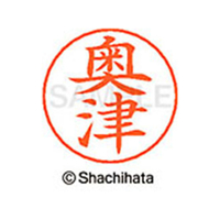 シヤチハタ ネームペン用ネーム シルバー 既製 奥津 FC46395-X-GPS-0624