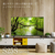 TVS REGZA 32S25S 液晶テレビ S25Sシリーズ 32S25S-イメージ2