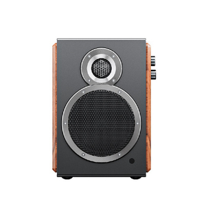 FIIO SA1 ブラック FIO-SA1-B-イメージ3