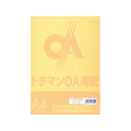 SAKAEテクニカルペーパー 厚口カラーPPC A4 スキン 100枚×5冊 FC88285-LPR-A4-SW